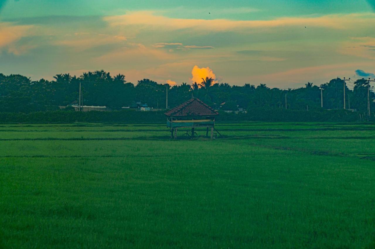 Surf & Yoga Arugam Bay Hotel Bagian luar foto
