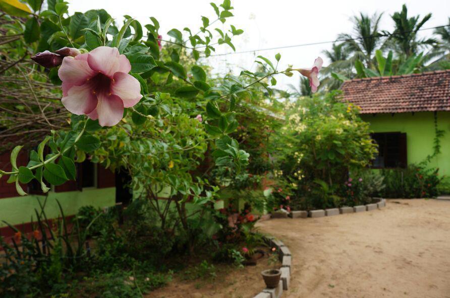 Surf & Yoga Arugam Bay Hotel Bagian luar foto